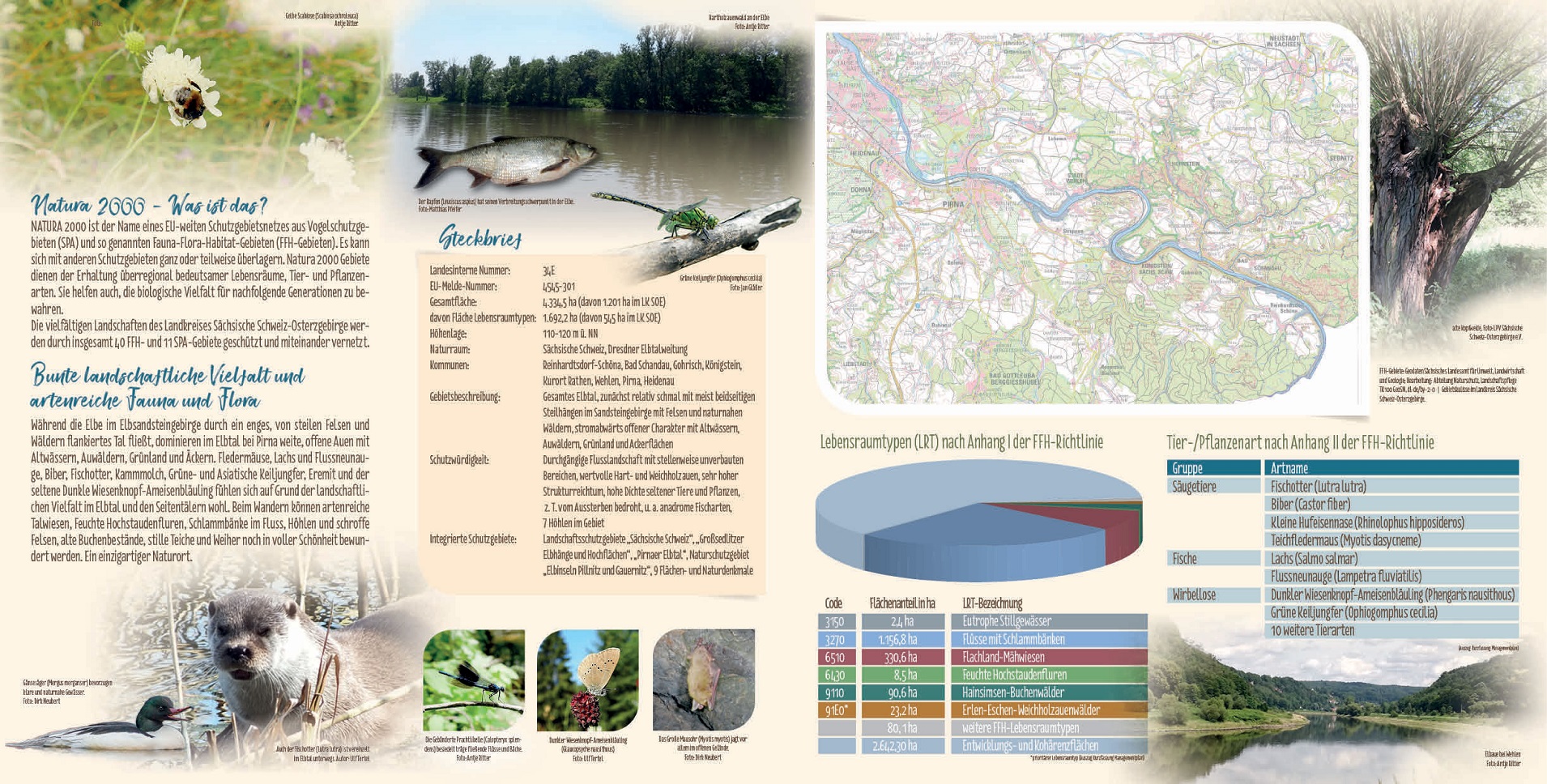 tl_files/downloads/Bilder Projekte/Projektstellen/Natura 2000 2.0/Flyer/Gebietsflyer_Elbtal_2.jpg